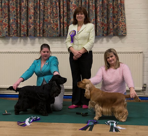 BIS and RBIS January Open Show 2015