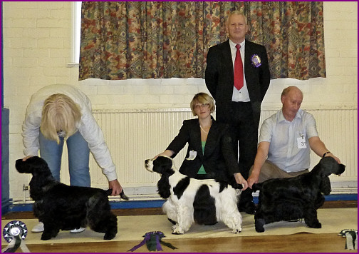 Best In Show June 2011