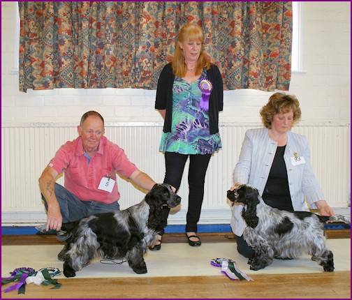 Best In Show June 2012