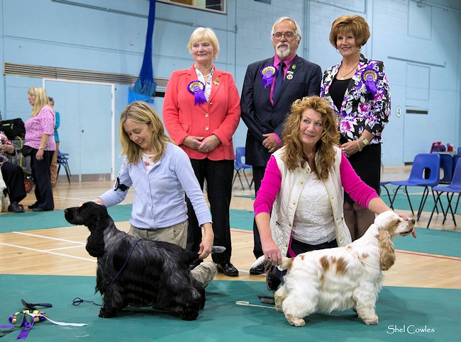 Best in Show October 2015