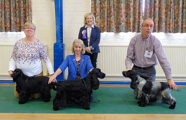 Special Awards winners Jan 2019