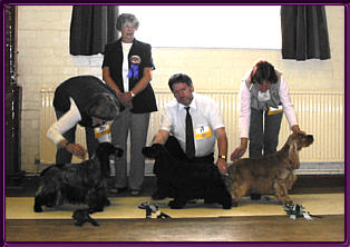 Best In Show June 2002