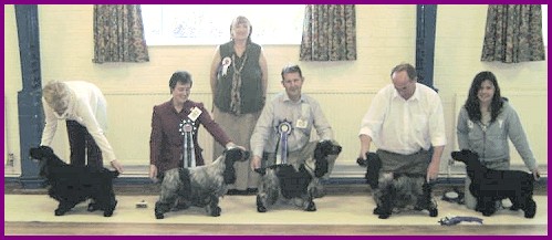 Best In Show June 2005