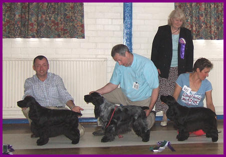 Best In Show June 2006