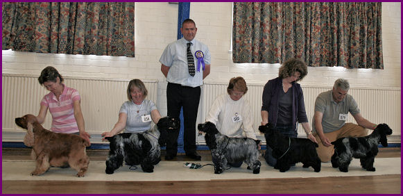 Open Show June 2007
