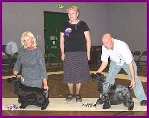BCC Championship Show 2005