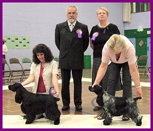 BPIS Championship Show 2005